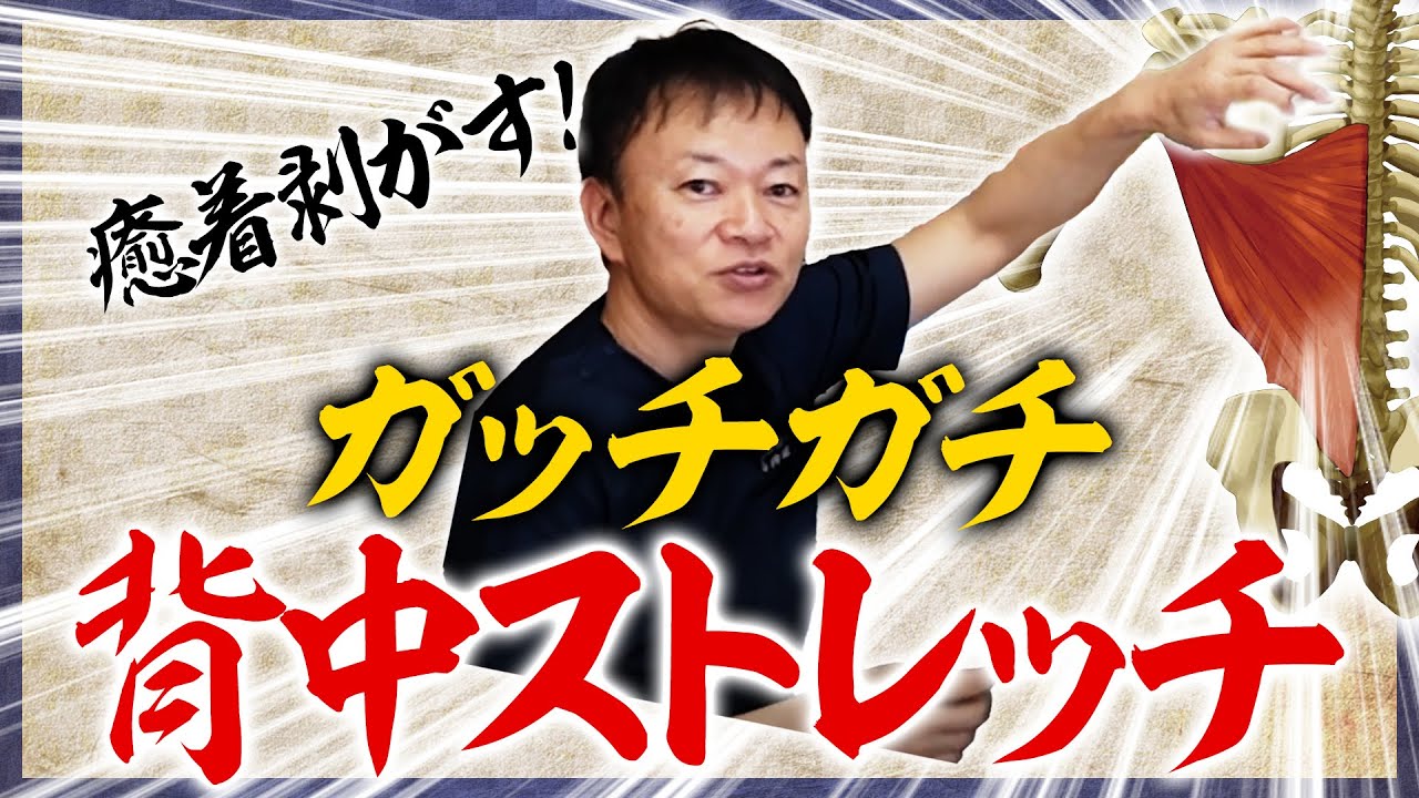 山内義弘 AKS療法 豪華解説マニュアル付き全身の筋肉リリース書き込み